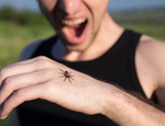 Superar fobias: o medo das baratas